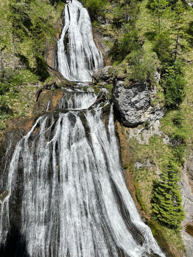 Berghaus Gesaeuse Pension Weng im Gesause Exterior foto